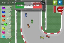 Formula racing