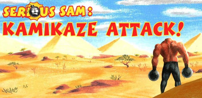 Kamikaze Attack