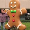 Android Gingerbread